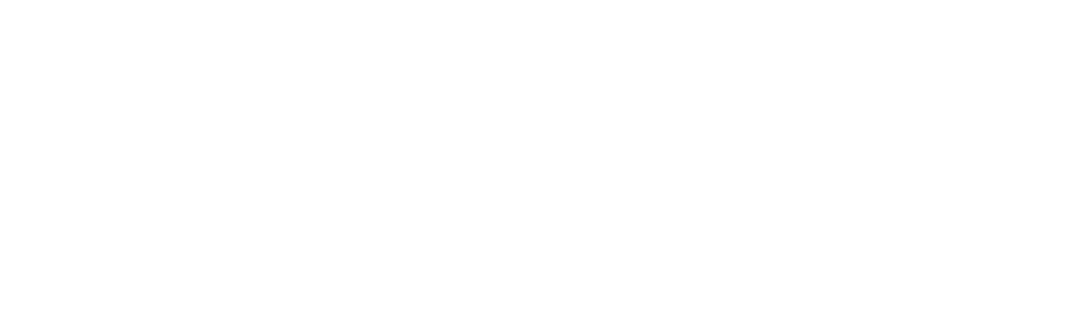 Origin Acoustics logo