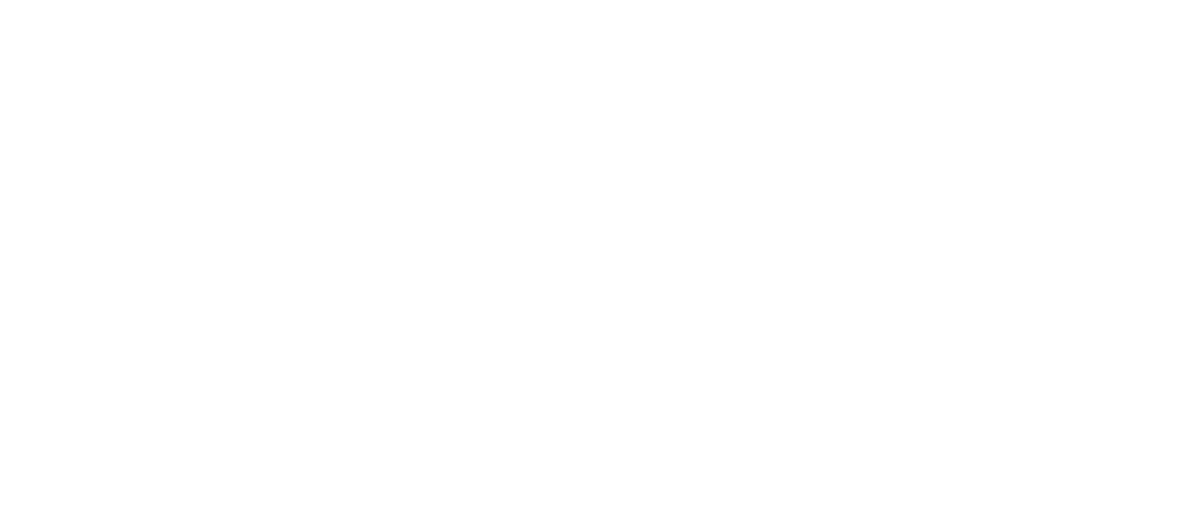 Savant smart home automation logo